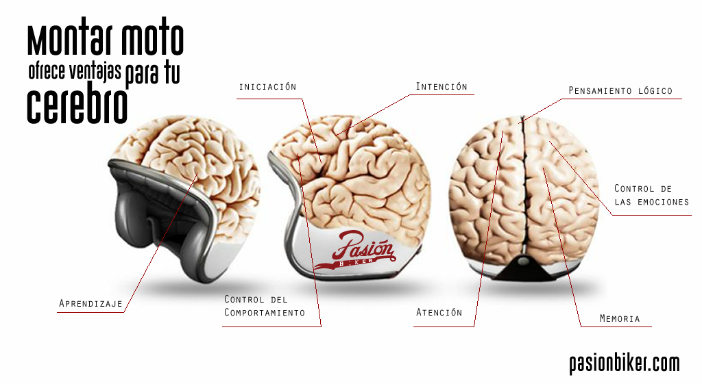 MONTAR-MOTO-OFRECE-VENTAJAS-PARA-TU-CEREBRO.png