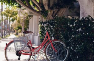 Diferencias entre bicicletas para hombre y bicicletas para mujer